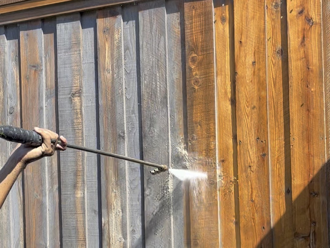 A weathered fence being stained, gray wood turning rich walnut