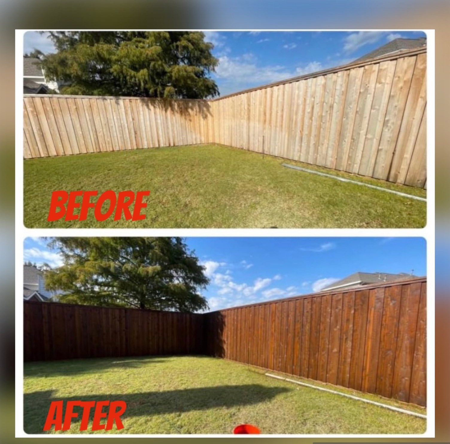 Backyard fence before and after staining